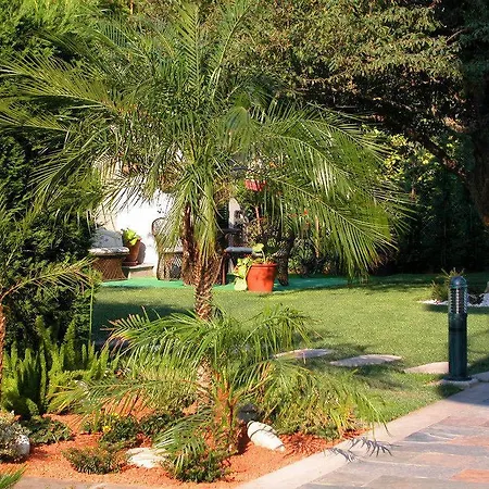 Hotel Piñeiro 2*